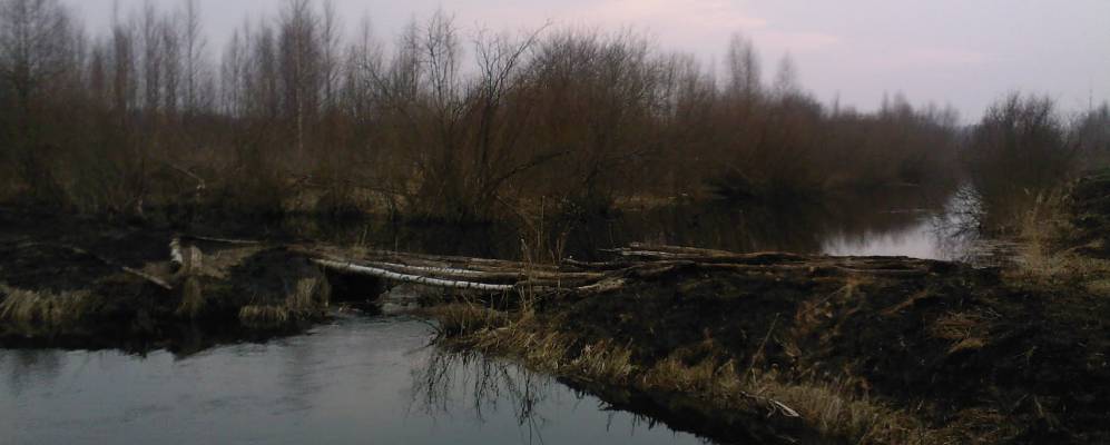 Фотография деревни Дорохи