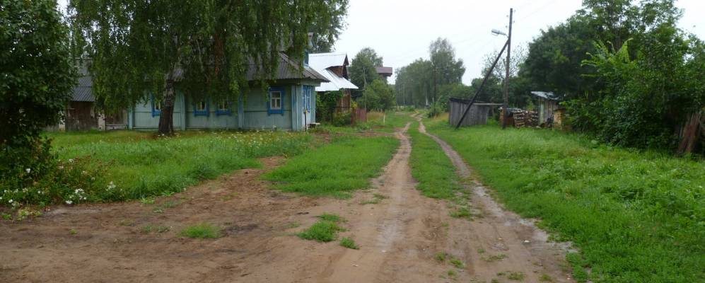 
            Фотография Сосновки