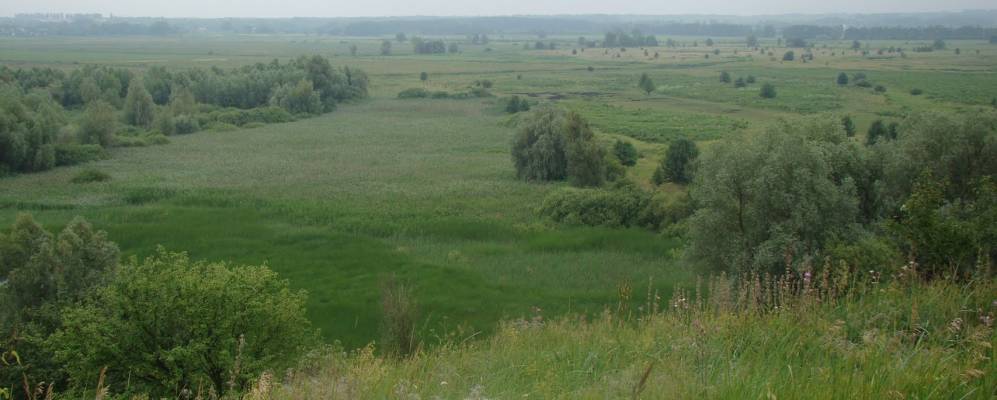 
            Фотография Нехайки