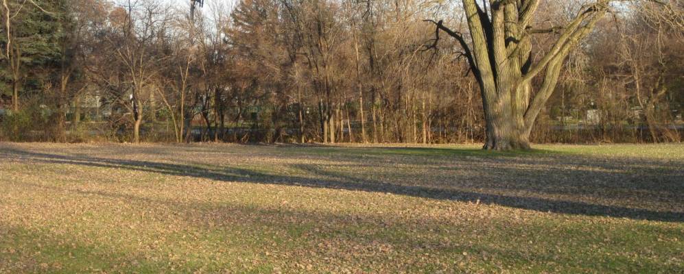 
            Фотография Норридджа