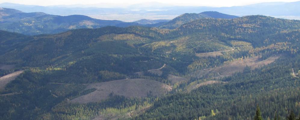 
            Фотография Mount Spokane