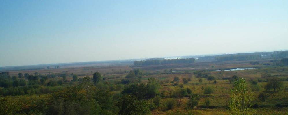 
            Фотография Сегарча