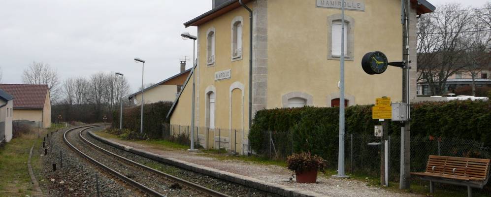 
            Фотография Мамироля