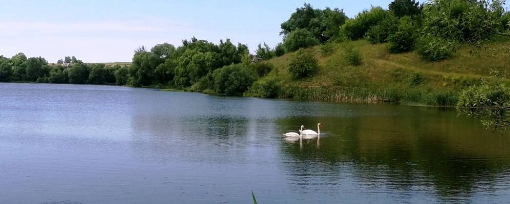
            Фотография села Дронова