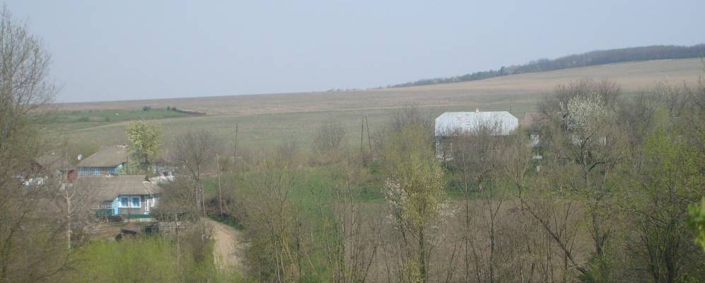 
            Фотография Украинского