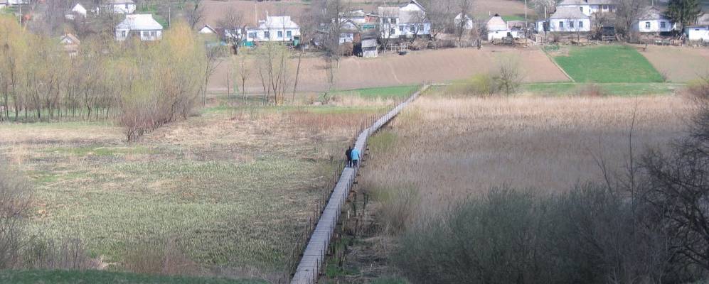 
            Фотография Тамаровки