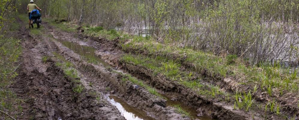 
            Фотография Шилово
