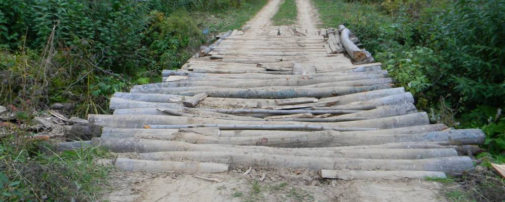 
            Фотография Пятилиповки