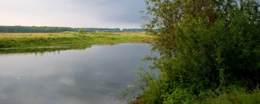 
            Фотография Лучковцы