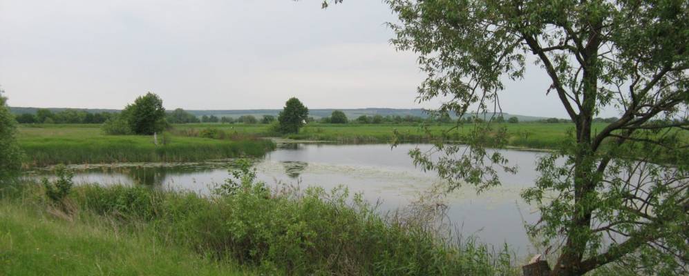 Фотография Насакан Потьмы