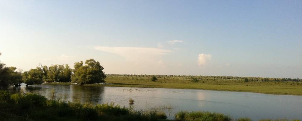 
            Фотография Чумакова