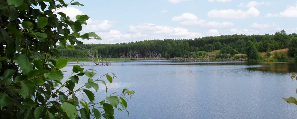 
            Фотография Нового Шопотово