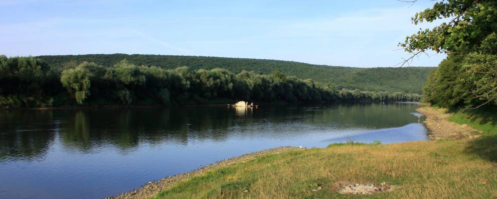 
            Фотография Цветовой