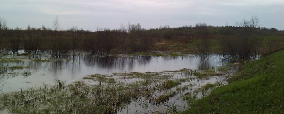 
            Фотография Лобаново