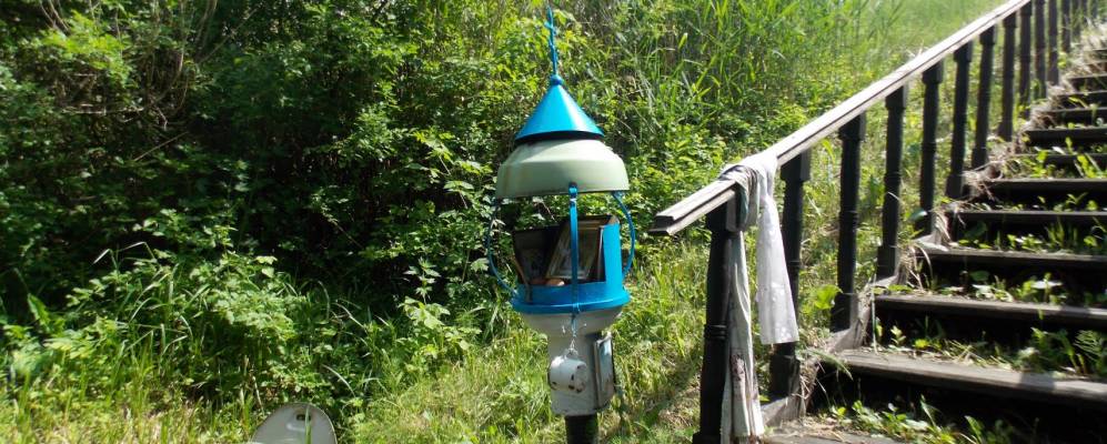 Фотография Прилепов