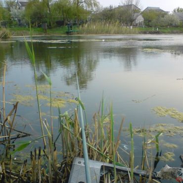 Новоселовка