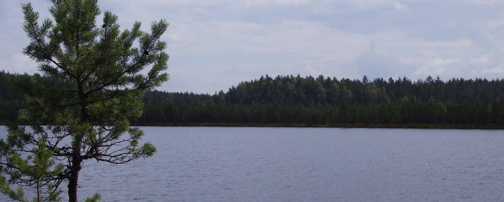 Фотография Сидорово