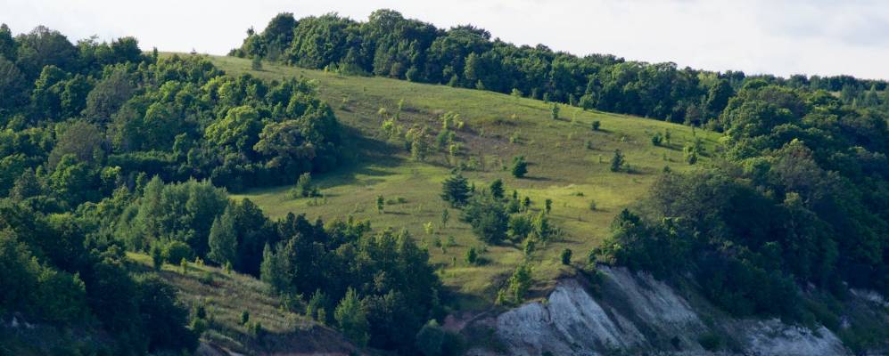 
            Фотография Гребеней