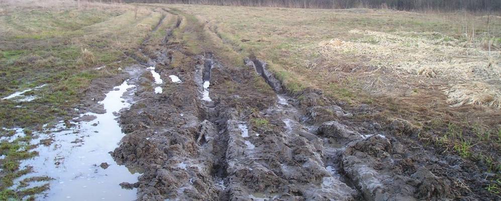 
            Фотография Харитоново