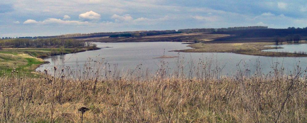 
            Фотография Рожка