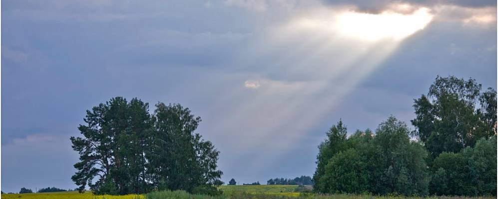 Фотография Полянки