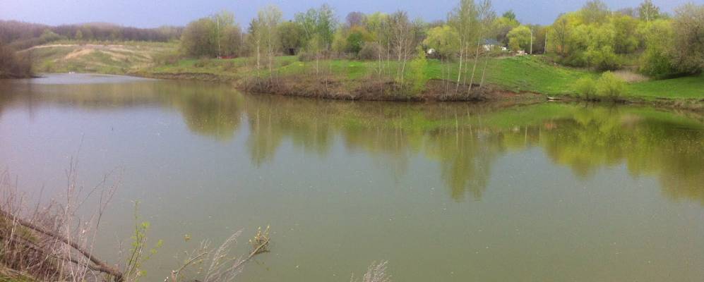 
            Фотография Пожарово