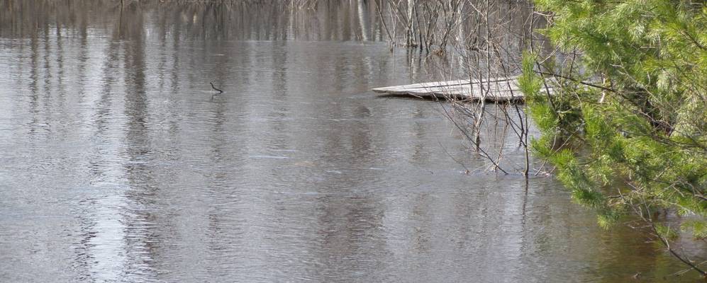 Фотография Одинцев