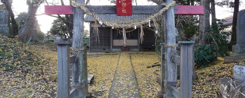 
            Фотография Shimo-shizu