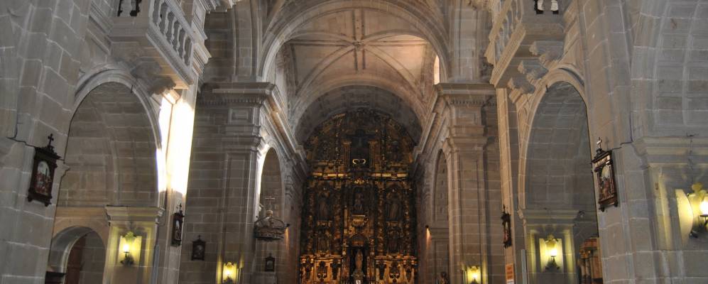 
            Фотография Пойо