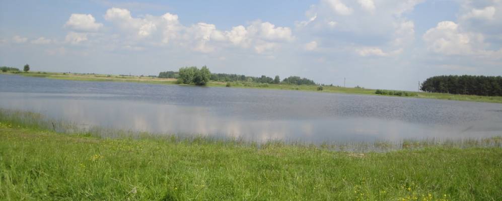 
            Фотография Кунторовки