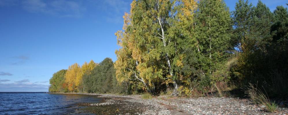 Фотография Марнаволока