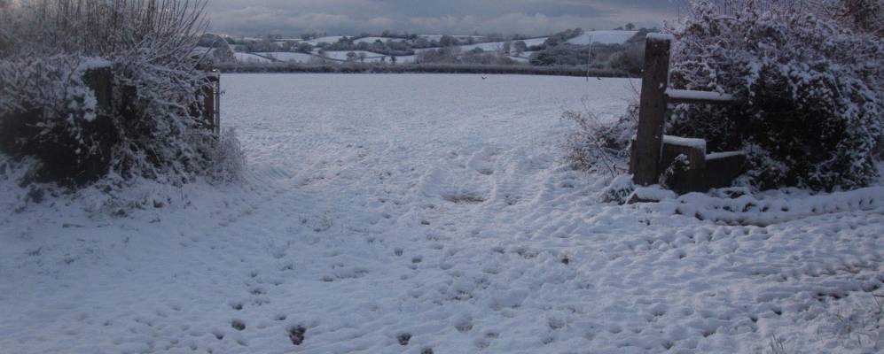 
            Фотография Колитона