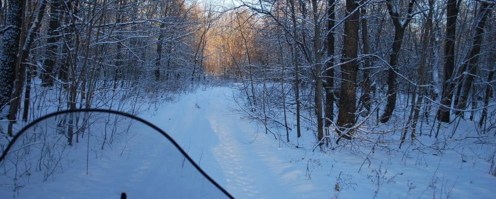
            Фотография Архангельского