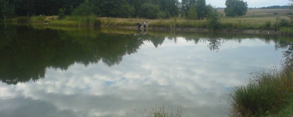 
            Фотография Должика