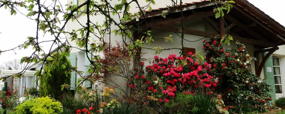 
            Фотография Виразейя