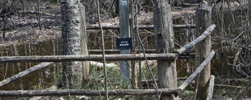 Фотография Роньжино