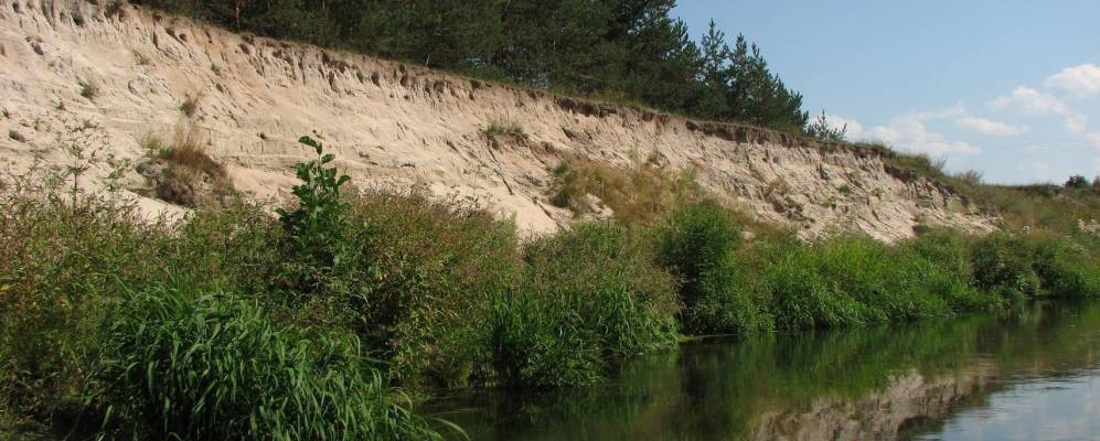 
            Фотография Осинок