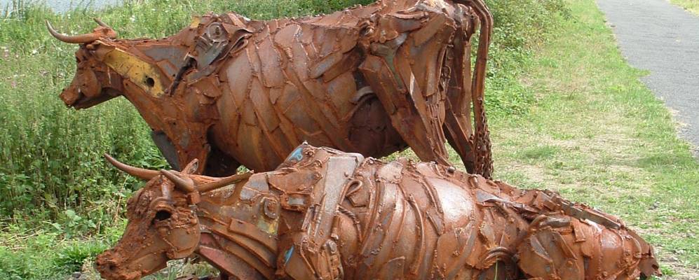 
            Фотография Рифама