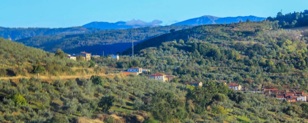 
            Фотография Сотосеррано