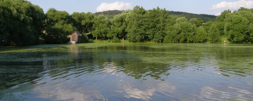 
            Фотография Румянцево