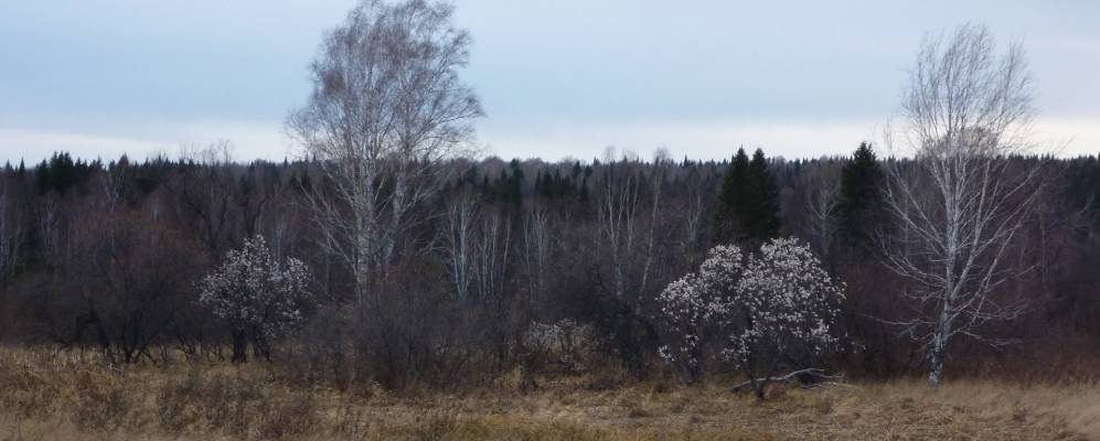 
            Фотография Упоровки