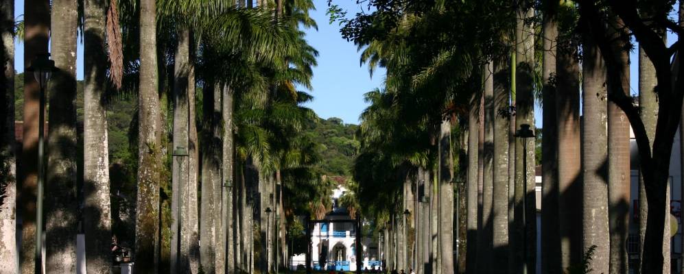 
            Фотография Жоинвилле