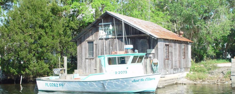 
            Фотография Хомозассы