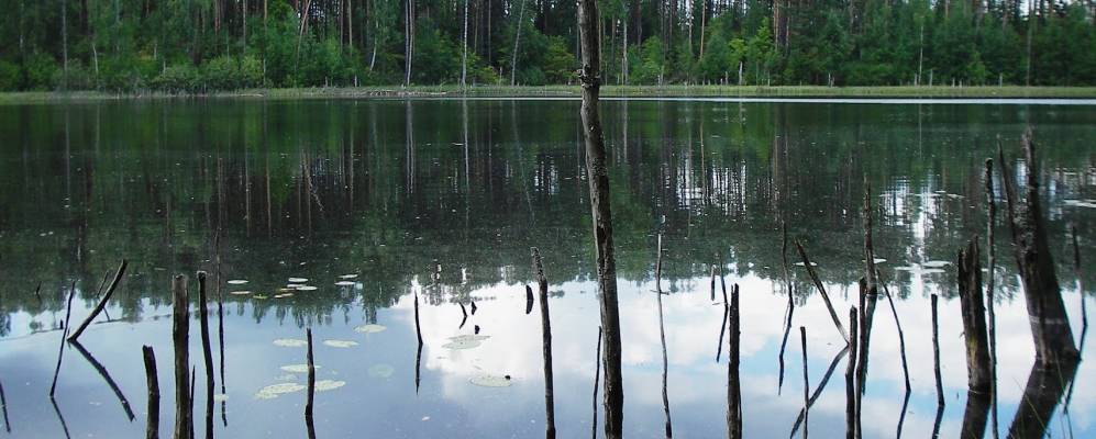 Фотография Котьянково