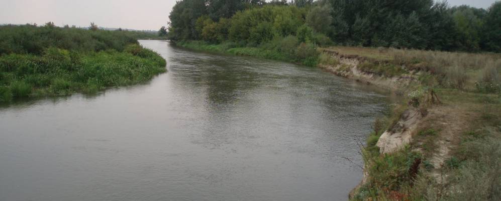 
            Фотография Томахова