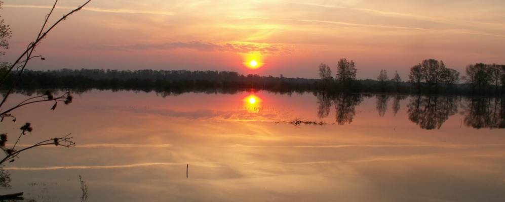 
            Фотография Чердатов