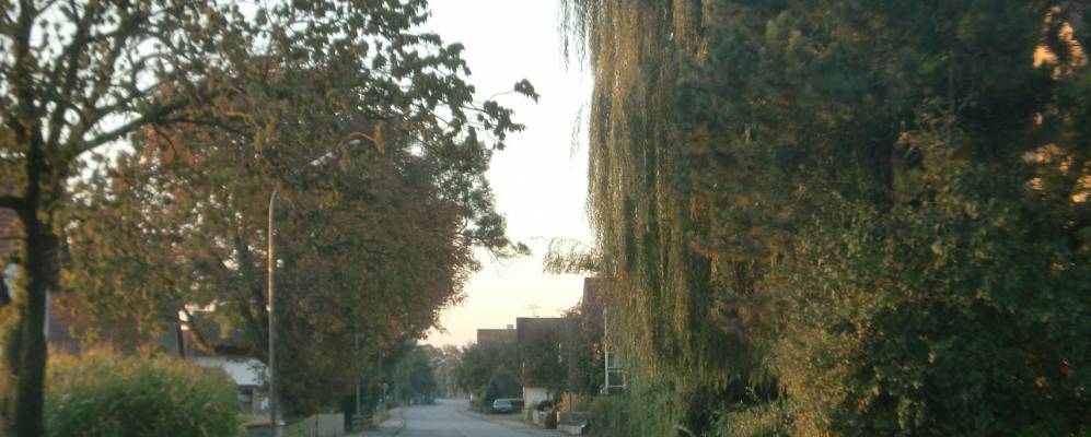 
            Фотография Берглерна