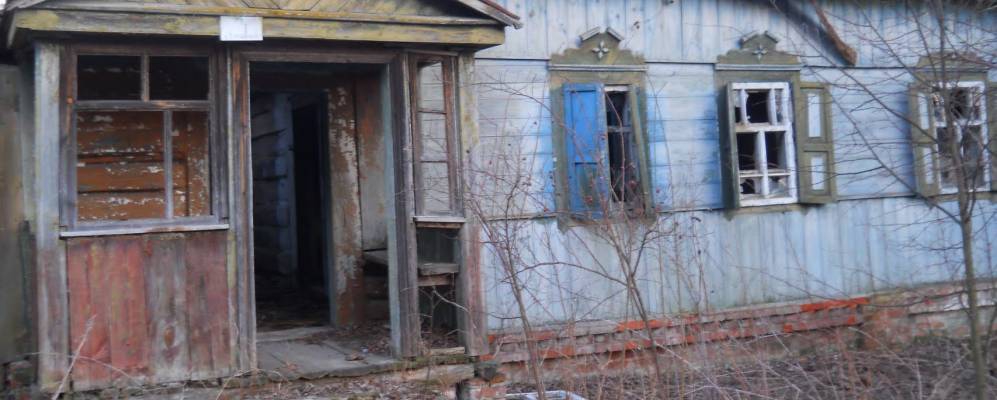 
            Фотография Дибровой