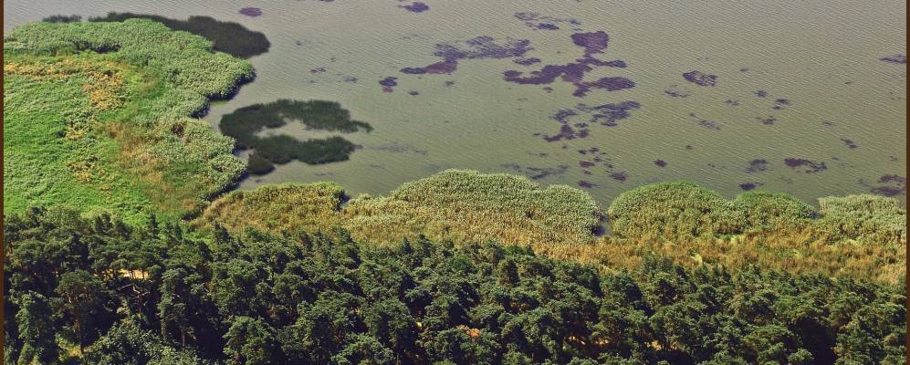 
            Фотография Neverow