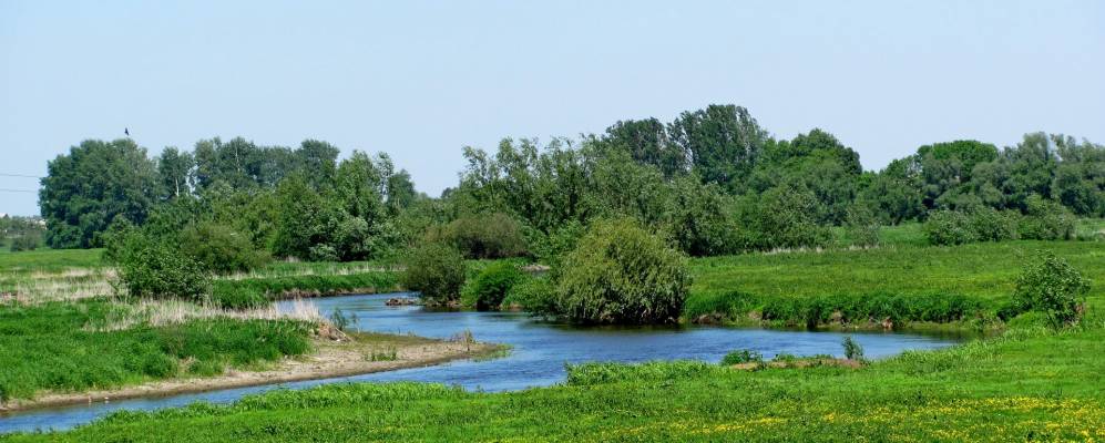 
            Фотография Забужья